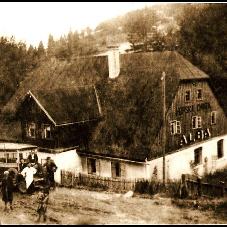 Hotel Alba Destne v Orlickych horach Kültér fotó