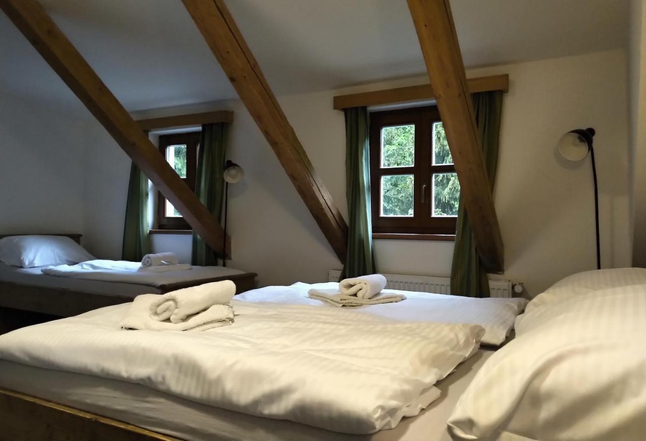 Hotel Alba Destne v Orlickych horach Kültér fotó