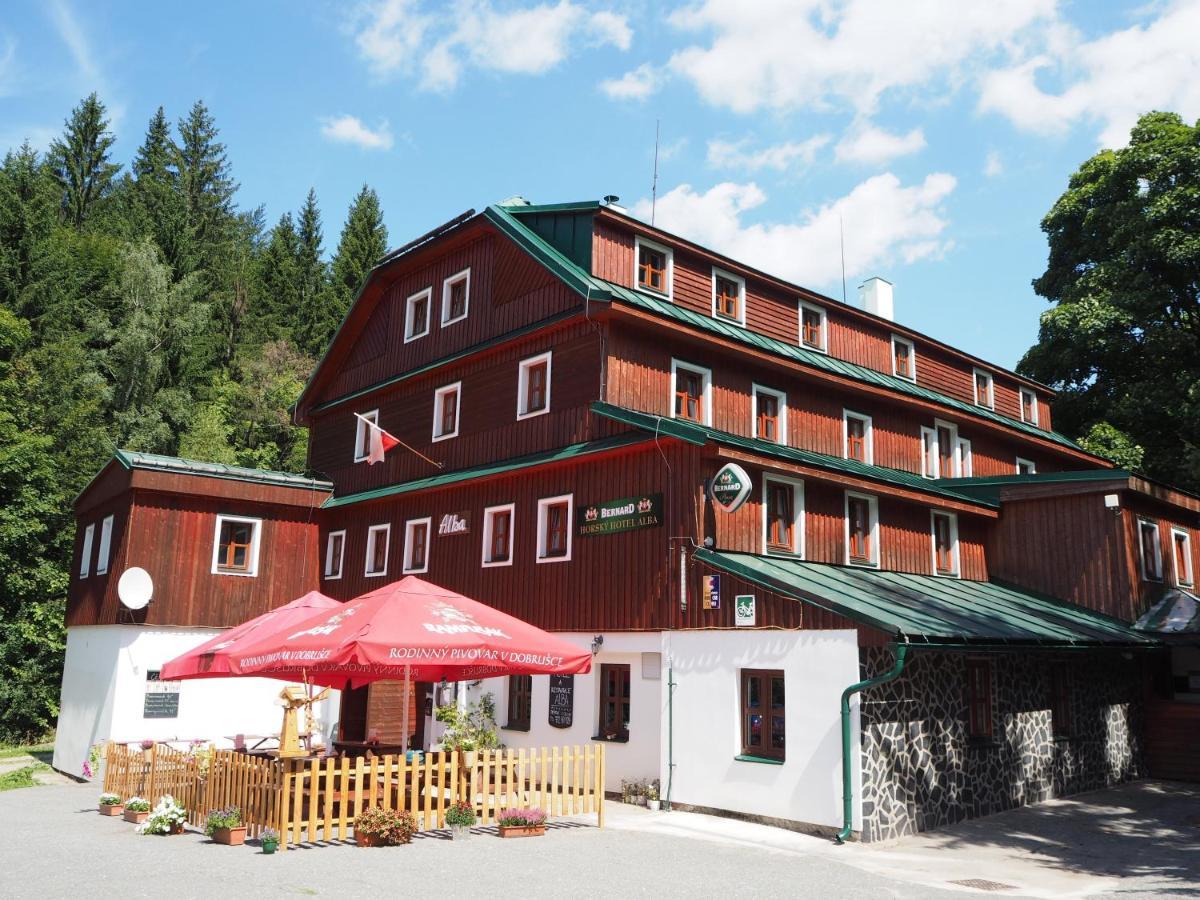 Hotel Alba Destne v Orlickych horach Kültér fotó