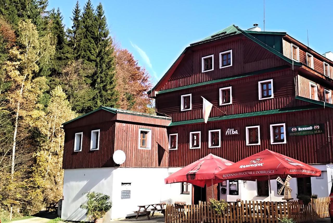 Hotel Alba Destne v Orlickych horach Kültér fotó