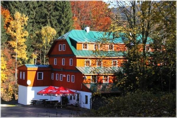 Hotel Alba Destne v Orlickych horach Kültér fotó